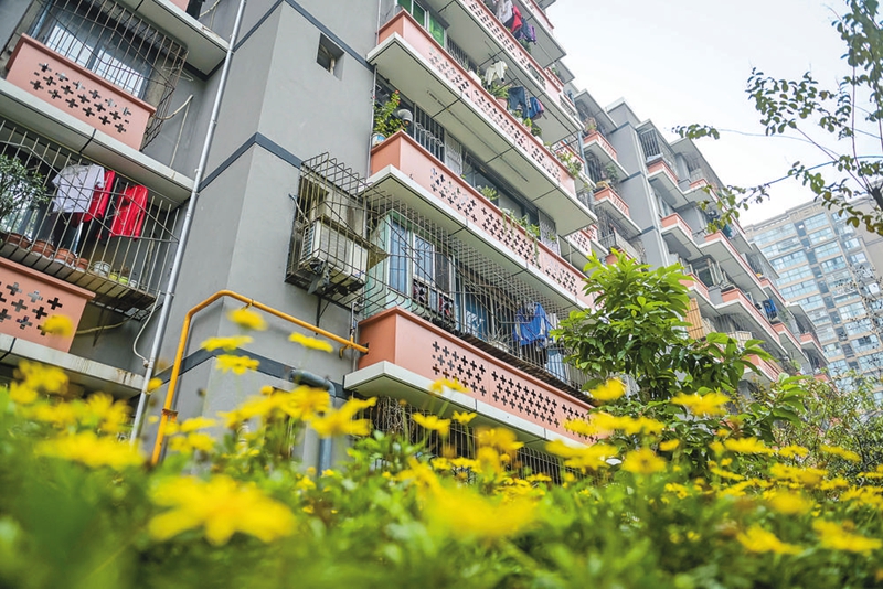 文明创建有温度 成华区"红管家"让红房子焕新成网红