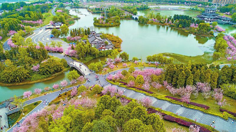 春林初盛春山可望川观拍客定格花开蜀地的灿烂