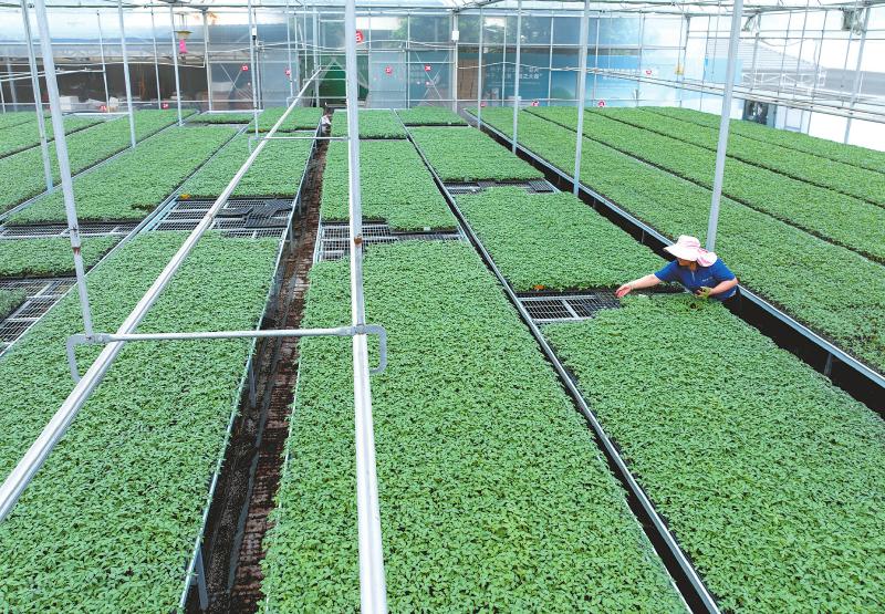 共富路上 攀枝花持续弥合城乡"数字鸿沟"