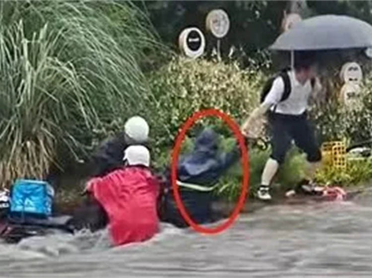 陈年伟、林绍敏、陈永清