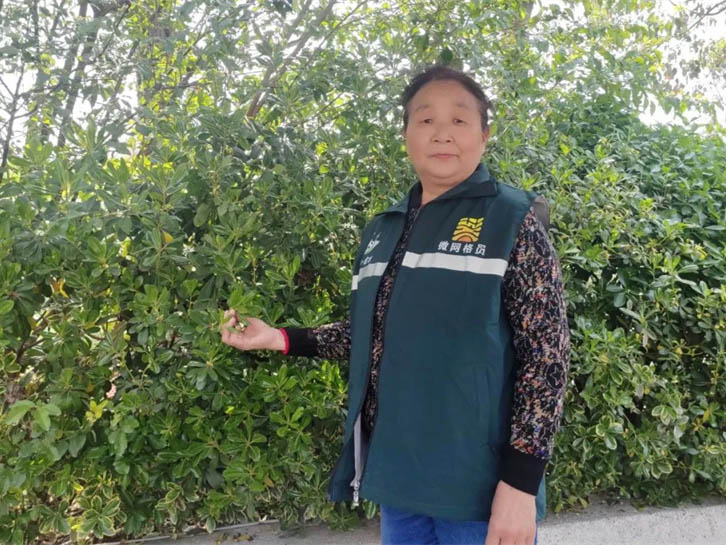 陈维华