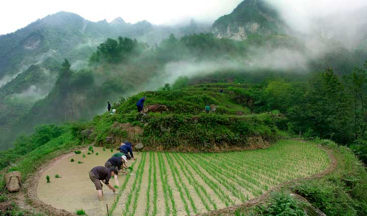 《十年变化》之田园