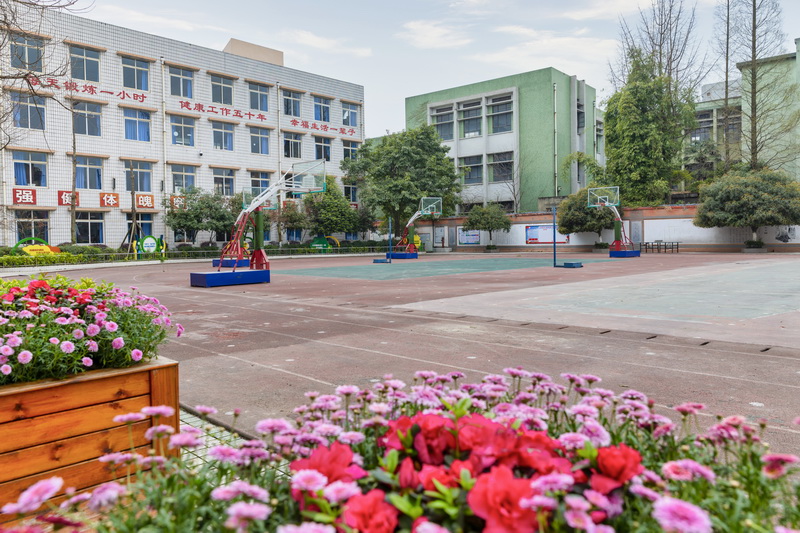彭州市实验小学环境优美,繁花似锦.