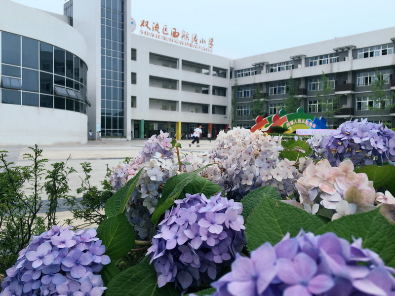 【最美校园竞晒】成都市双流区西航港小学-四川文明网