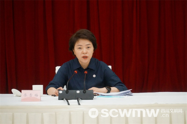 南充市召开全市文明城市创建工作推进会